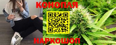 Альфа ПВП Ипатово